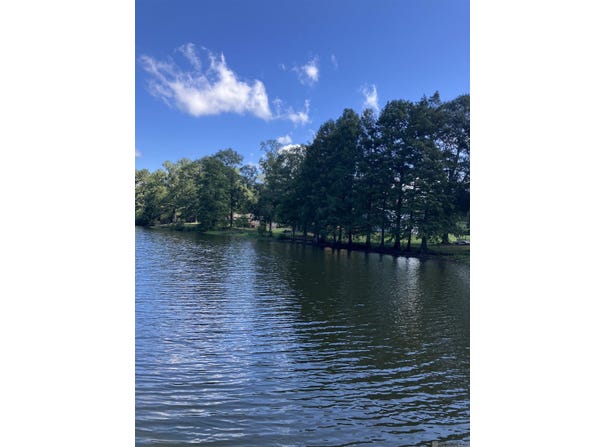 8105 Raleigh Dr, Ethel, LA 70730
