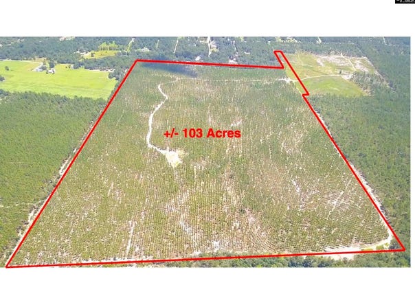 0 Bub Shumpert Road, Pelion, SC 29123