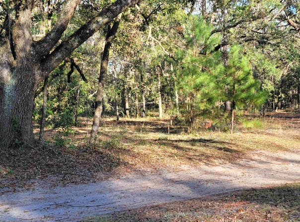 Landry Road, Perry, FL 32348