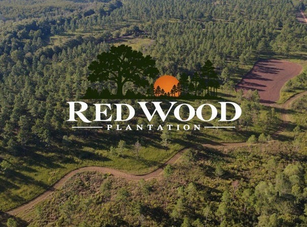Bo Didley Road, Bronwood, GA 39826