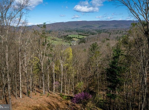 9586 BRUNK SPRING LANE, BROADWAY, VA 22815