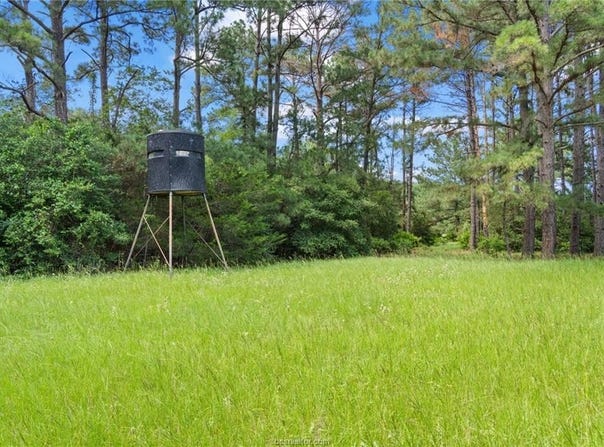 Tbd St Delight (Tracts 11 & 12) Road, Paige, TX 78659