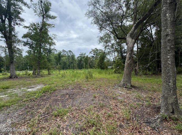Scrabble Road, Blackshear, GA 31516