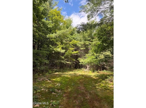 218 Irish Hill Road, Berne, NY 12059