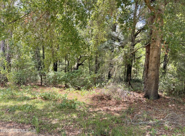 154 ASHLEY LAKE Drive, Melrose, FL 32666