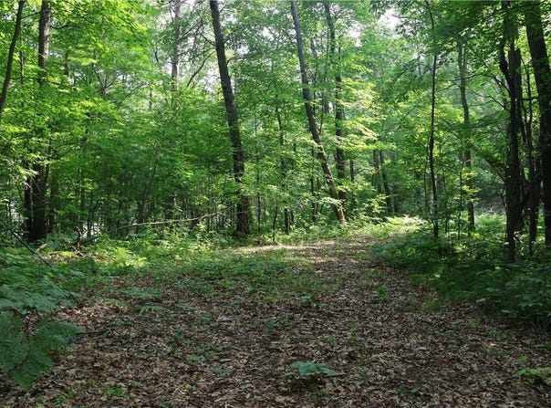 Lot 11 103rd Street Streets, Frederic, WI 54837