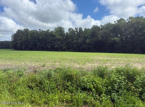 0 Near 403 Flynn Cemet Road, Whiteville, NC 28472