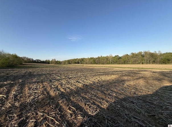 Carter Road, Mayfield, KY 42066