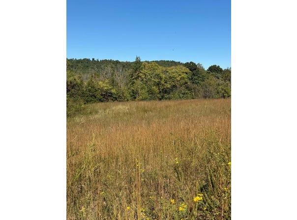 11.7 ac Byrdstown Hwy, Livingston, TN 38570