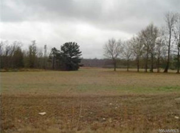 57 CHESSON Hill lot: 57, Fitzpatrick, AL 36029