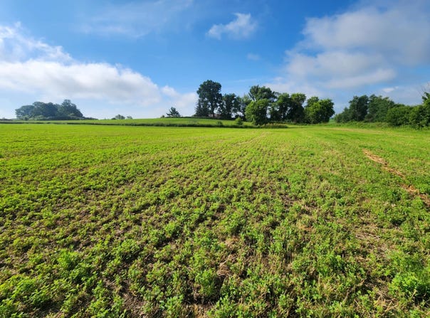 000 EAGLE ROAD, Marshfield, WI 54449
