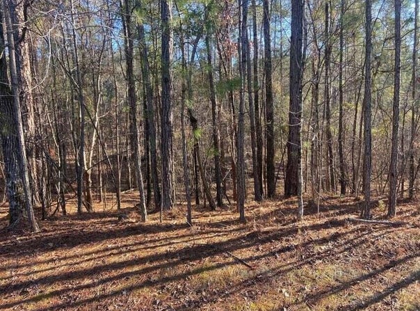 0 Colonial Lane, Mc Cormick, SC 29835