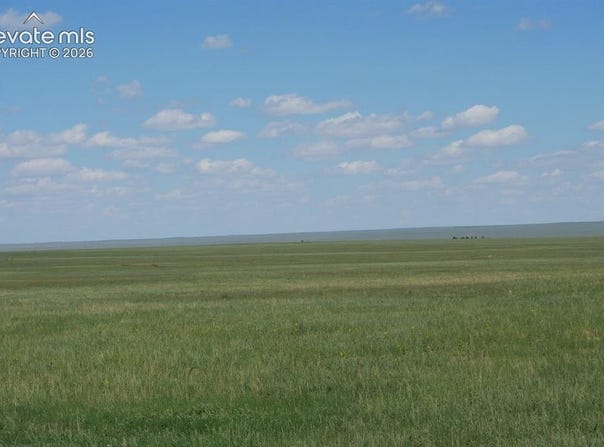Blasingame Road, Ramah, CO 80832