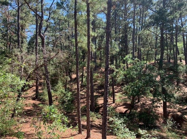 Wahane Ln, Bastrop, TX 78602