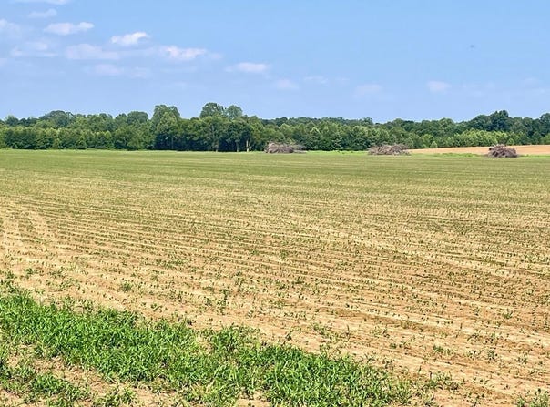 0 Hwy 100 & Vildo Road, Bolivar, TN 38008