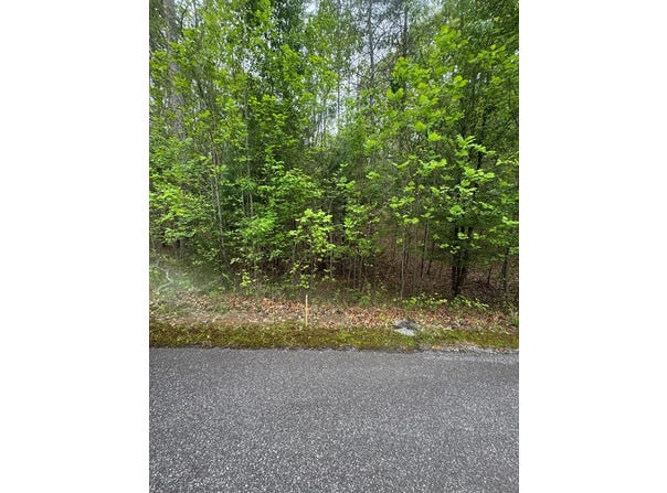 Lot 7 Arden Acres, Blairsville, GA 30512