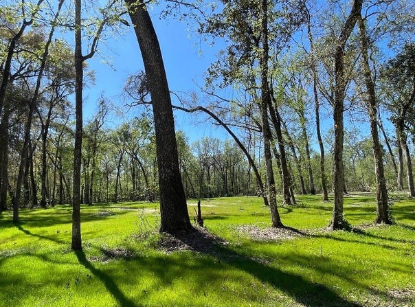 158 SW BUMBLE, Fort White, FL 32038