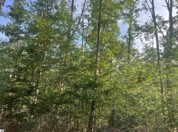 Lot 388 Wyndwood Drive, Mancelona, MI 49659