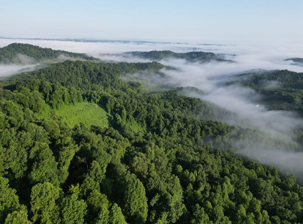 0 Upper Raccoon Creek RD, London, KY 40741