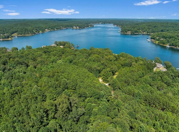000 McCoy Pointe Dr, Arley, AL 35541