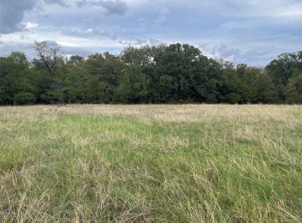 Beardn Lane, Mingus, TX 76453