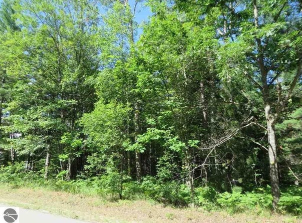 2043 E LOG LAKE ROAD, KALKASKA, MI 49646