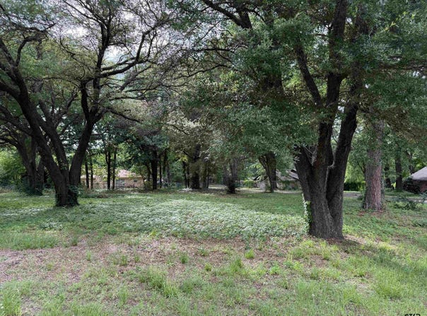 Oakleigh Street, Hawkins, TX 75765