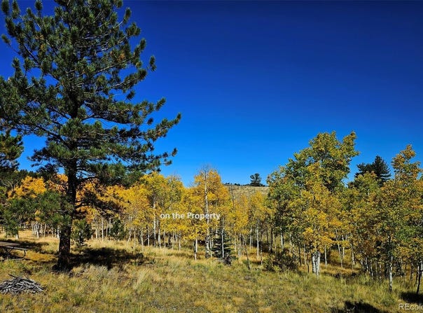 51 Singletree Lane, Hartsel, CO 80449