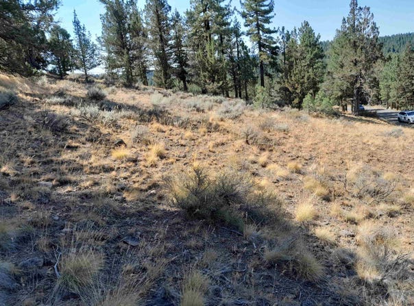 757 Dancing Bears lot: 102, Portola, CA 96122
