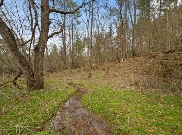 Tbd Cole Mountain  Rd, Hiwassee, VA 24347