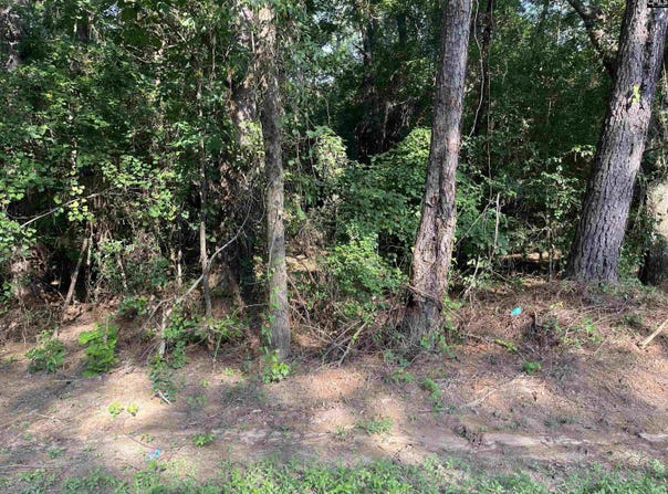 TBD Parkwood Avenue 10, North, SC 29112