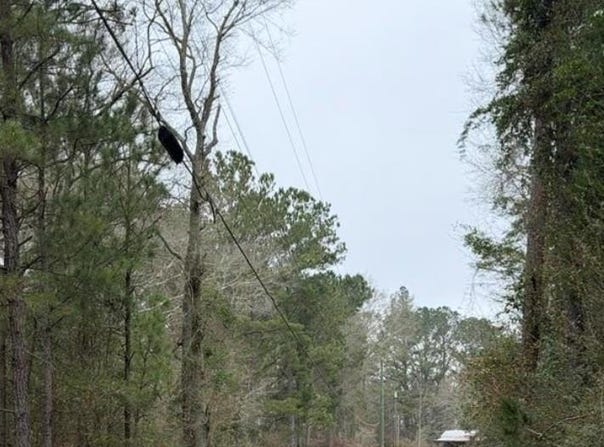 71 THOMAS ED RUSTIN RD, LAUREL, MS 39443