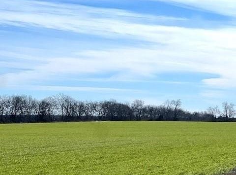 Tbd Farm Road 834, Roxton, TX 75477