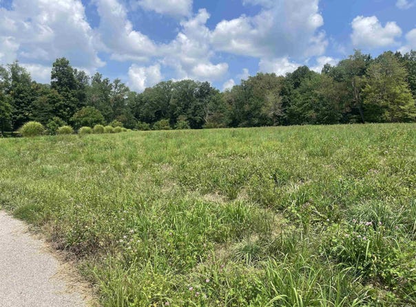 9670 N Olivia Drive, Wadesville, IN 47638