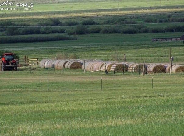 County Road 119, Westcliffe, CO 81252