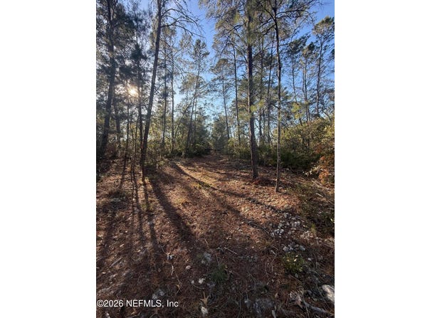 210 MORNINGSIDE Drive, Florahome, FL 32140