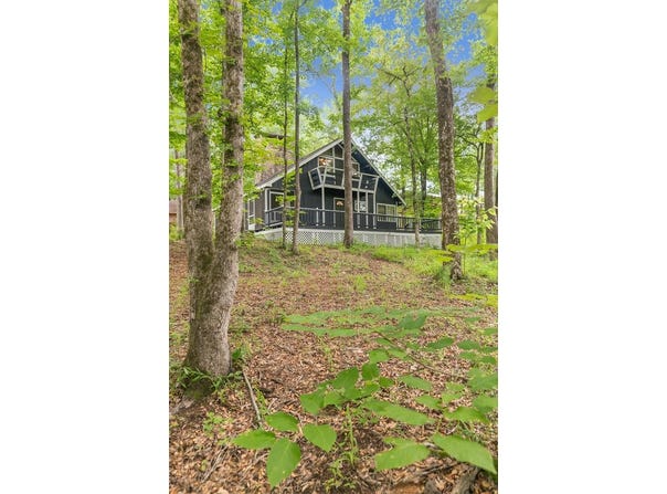 8165 County Road 97, Abbeville, AL 36310