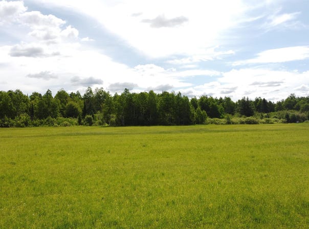 304X S Landala Rd, Maple, WI 54854