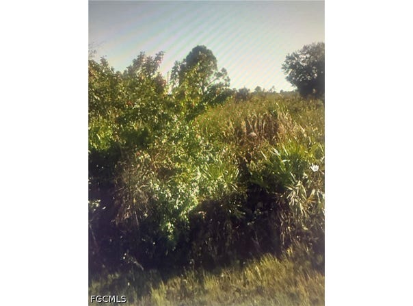3402 64th Street W, Lehigh Acres, FL 33971