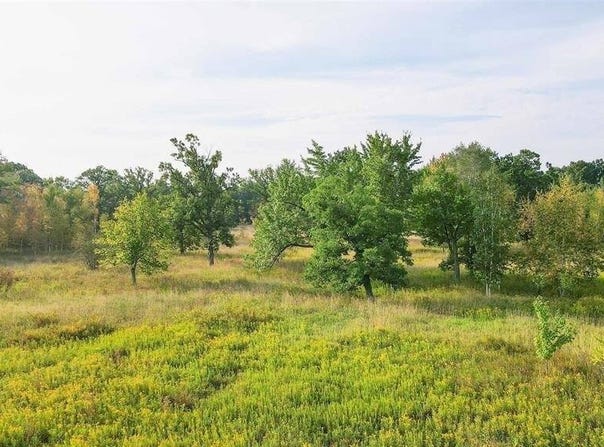 60 Acres COUNTY ROAD II, Rudolph, WI 54475