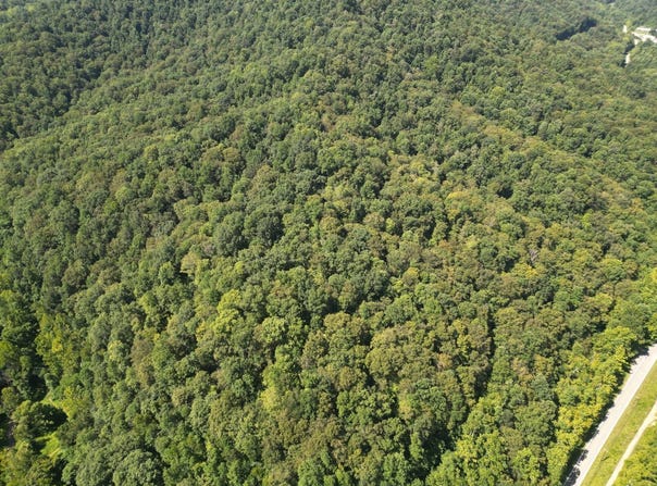 0 Honey Camp Road, Nellis, WV 25142