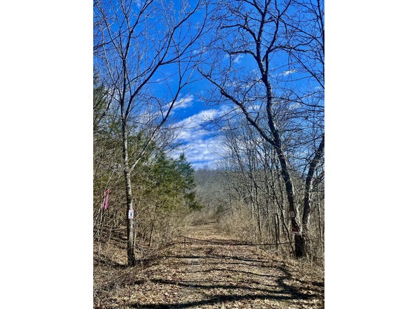 45ac Ridge Road, Flemingsburg, KY 41041