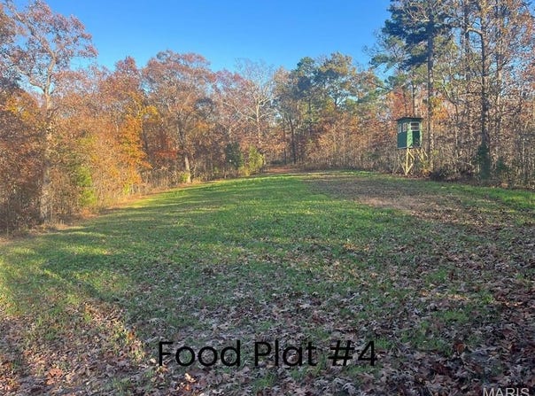 0 Tract 1 (160+/- acres) Lodge Road, Potosi, MO 65441