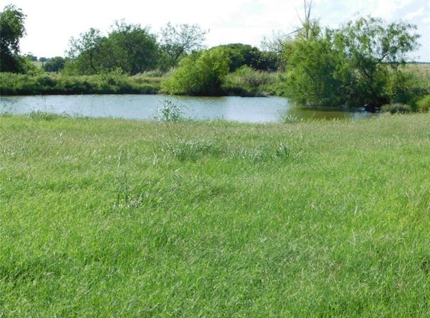 Tbd Fm 936, Hubbard, TX 76648