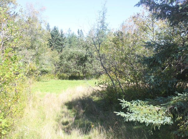 193 Golding Road, Perry, ME 04667