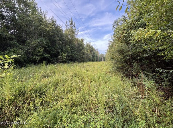 Burnt Bridge Road, Ellisville, MS 39437