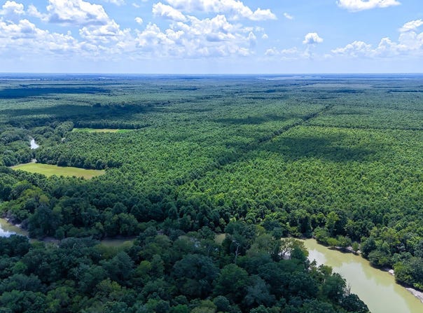 0 Priddy Rd, Rolling Fork, MS 39159