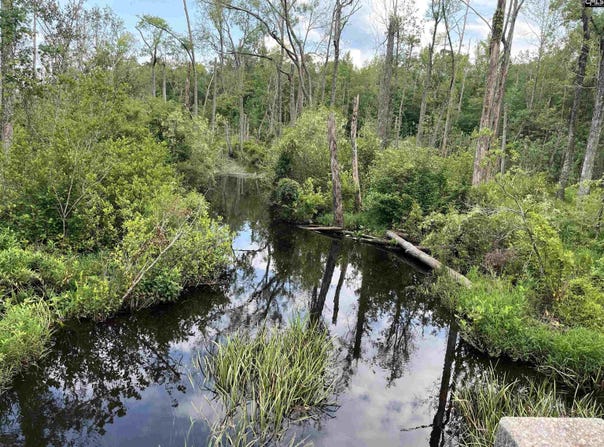 TBD Catalina Boulevard, North, SC 29112