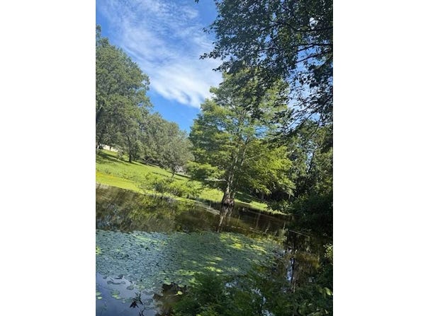 Twin Vista Dr., Many, LA 71449