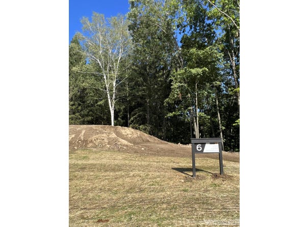 6810 Morrison Hills Court, Dexter, MI 48130